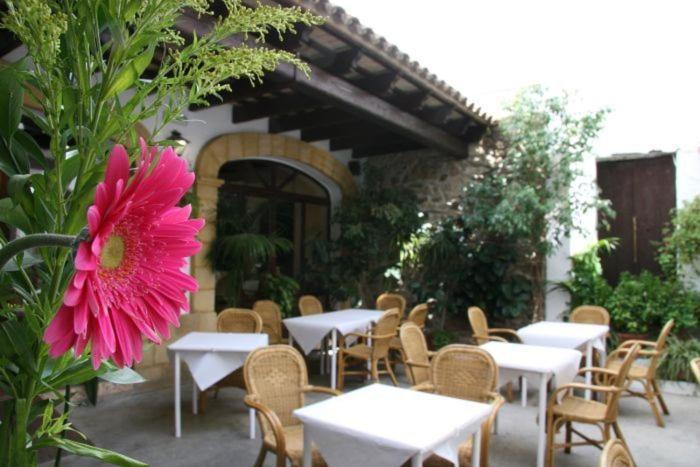 Hostal Torre De Guzman كونيل ذي لا فرونتيرا المظهر الخارجي الصورة